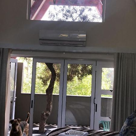 Bella Blue Guesthouse Bloemfontein Eksteriør billede