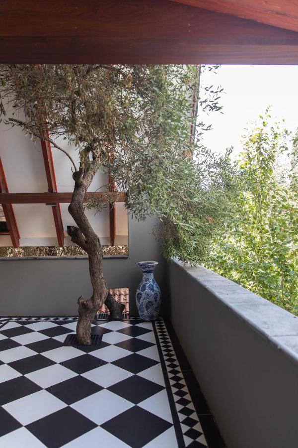 Bella Blue Guesthouse Bloemfontein Eksteriør billede