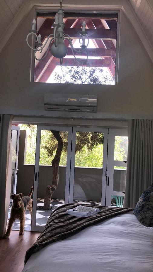 Bella Blue Guesthouse Bloemfontein Eksteriør billede
